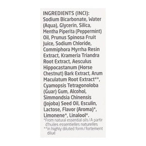 Weleda Salt Toothpaste 2.5 OZ [UNFI #1119908] T