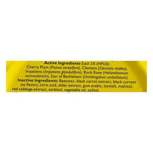 Bach Flower Essences Pastilles Black Currant Flavor 12/50 GRM [UNFI #409409] T