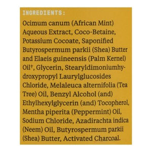 Alaffia Shampoo Authentic African Black Soap Tea Tree And Mint 1/12 OZ [UNFI #2676088] T