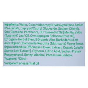 Everyone Hand Soap Spearmint + Lemongrass 1/12.75 OZ [UNFI #1270198] T