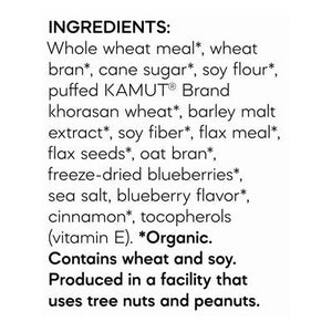 Natures Path Cereal Blueberry Cinnamon Flax 12/14 OZ [UNFI #0999250] [ebt]