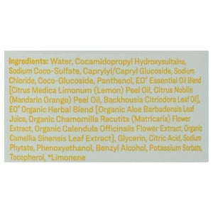 Everyone Hand Soap Meyer Lemon + Mandarin 1/12.75 OZ [UNFI #1270081] T