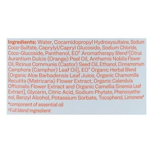 Everyone Kids Soap 3 In1 Orange Squeeze 1/32 OZ [UNFI #1156686] T