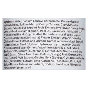 Everyone Shampoo Dreamy Coconut + Lemon 1/12 OZ [UNFI #2947703] T